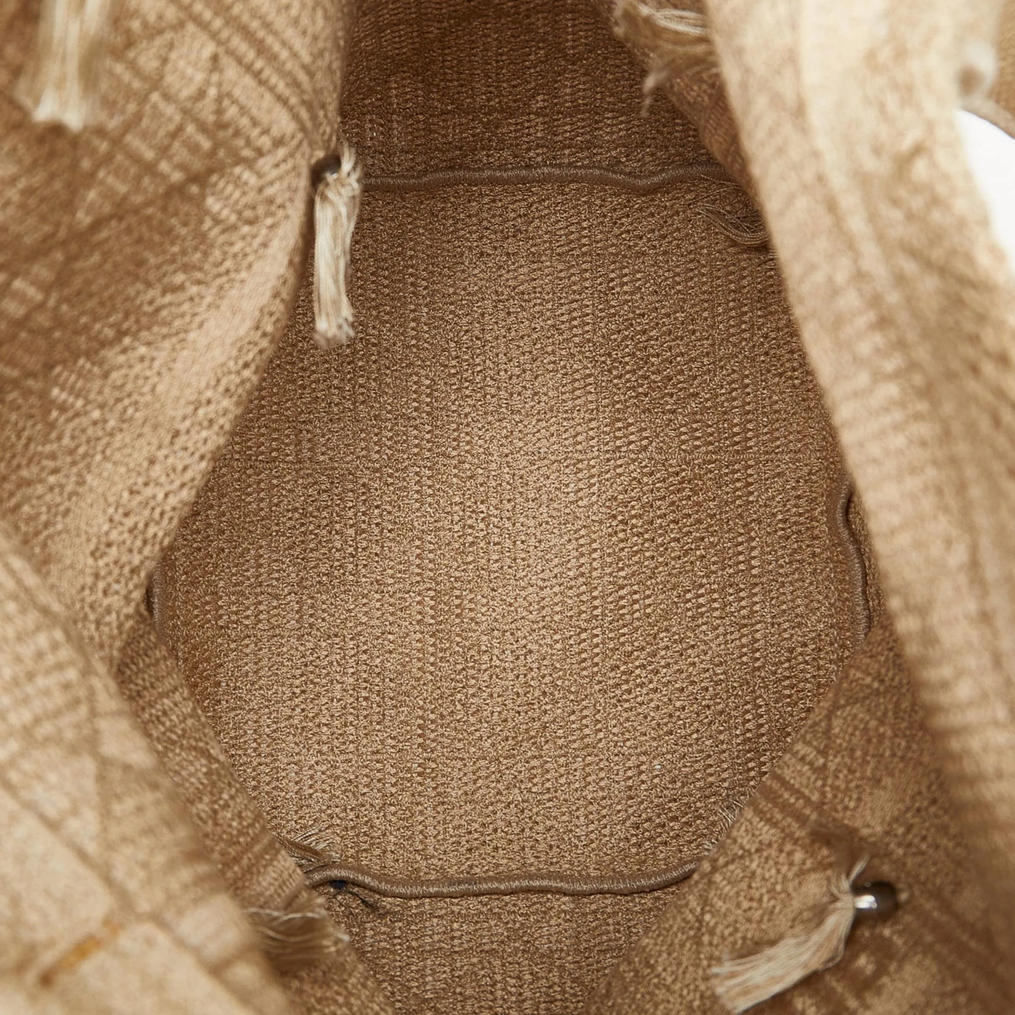 Dior Cannage D-Bubble Bucket Bag (SHG-NUtYBR)